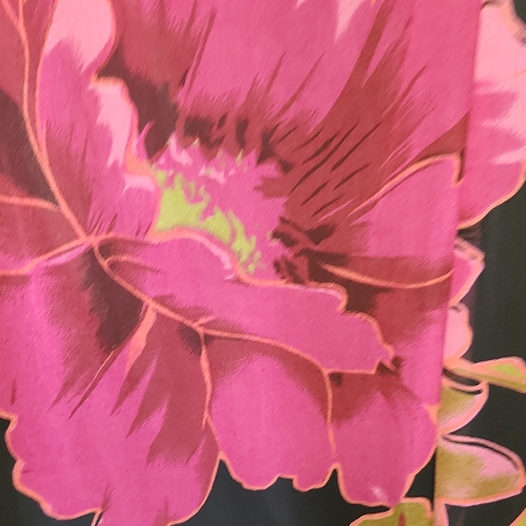 Nwt Eva Blue Plus Black and Pink Dress - Picture 4 of 6